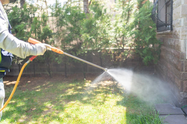 Trusted Whitinsville, MA Pest Control Experts